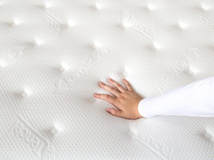 Матрас Kamasana MOTION 160х200