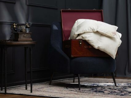 Одеяло German Grass EXCLUSIVE SILK EIDER DOWN всесезонное 240х260