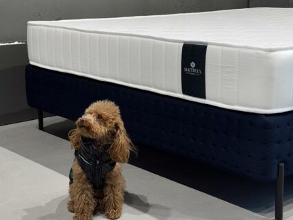 Матрас Materlux Makenberra Forte 100х186