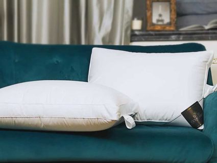 Подушка Trois Couronnes Duchess Plus Extra Taut 386