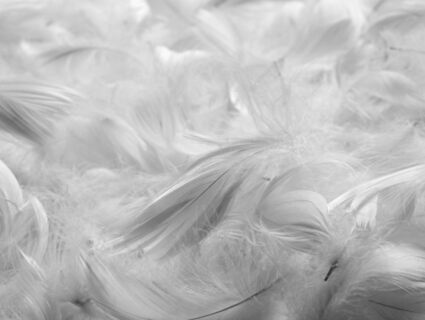 Подушка Nature’S-Natura Sanat Люкс 70х70