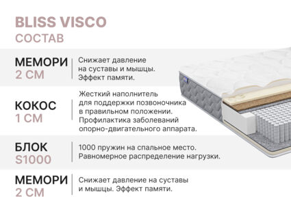 Матрас Димакс Bliss Visco 80х190