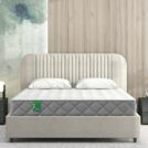 Матрас Sleeptek MAX Foam Cocos Double S500 60х120